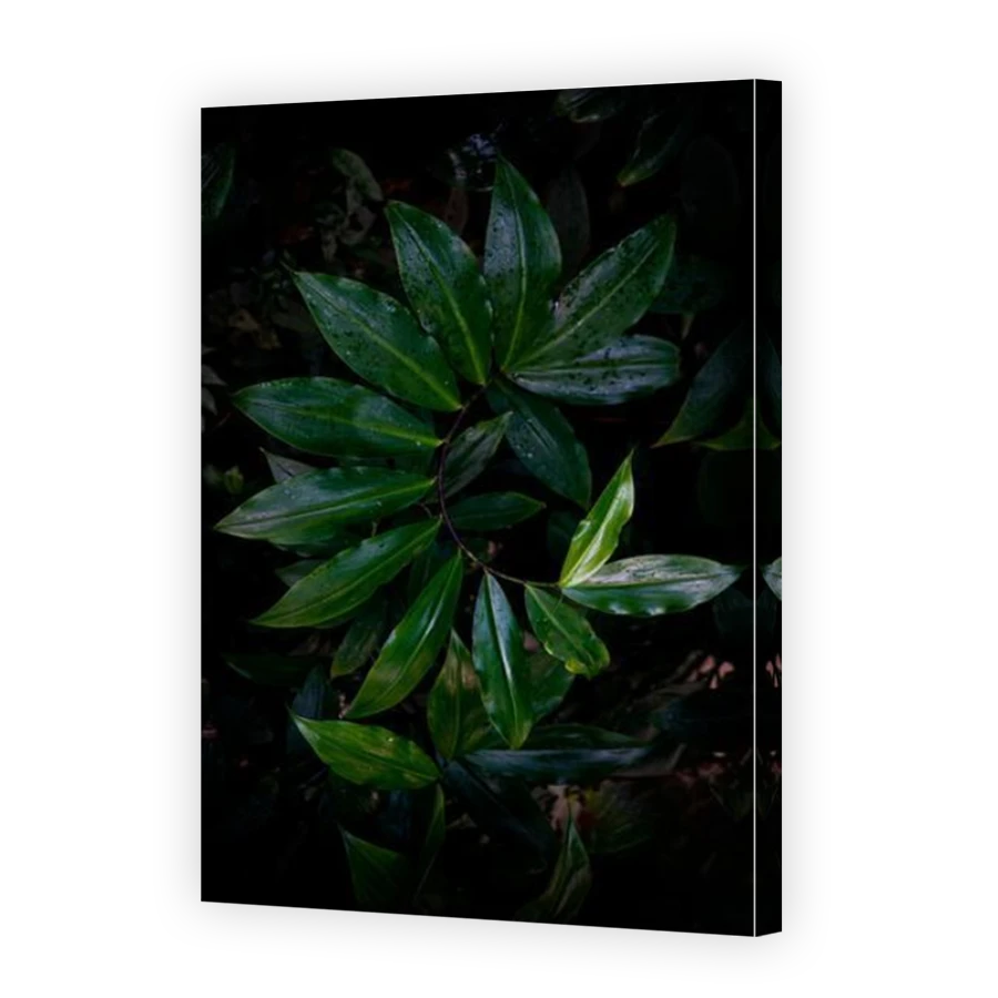 Thumbnail for Canvas - Mirror Image Canvas Wrap