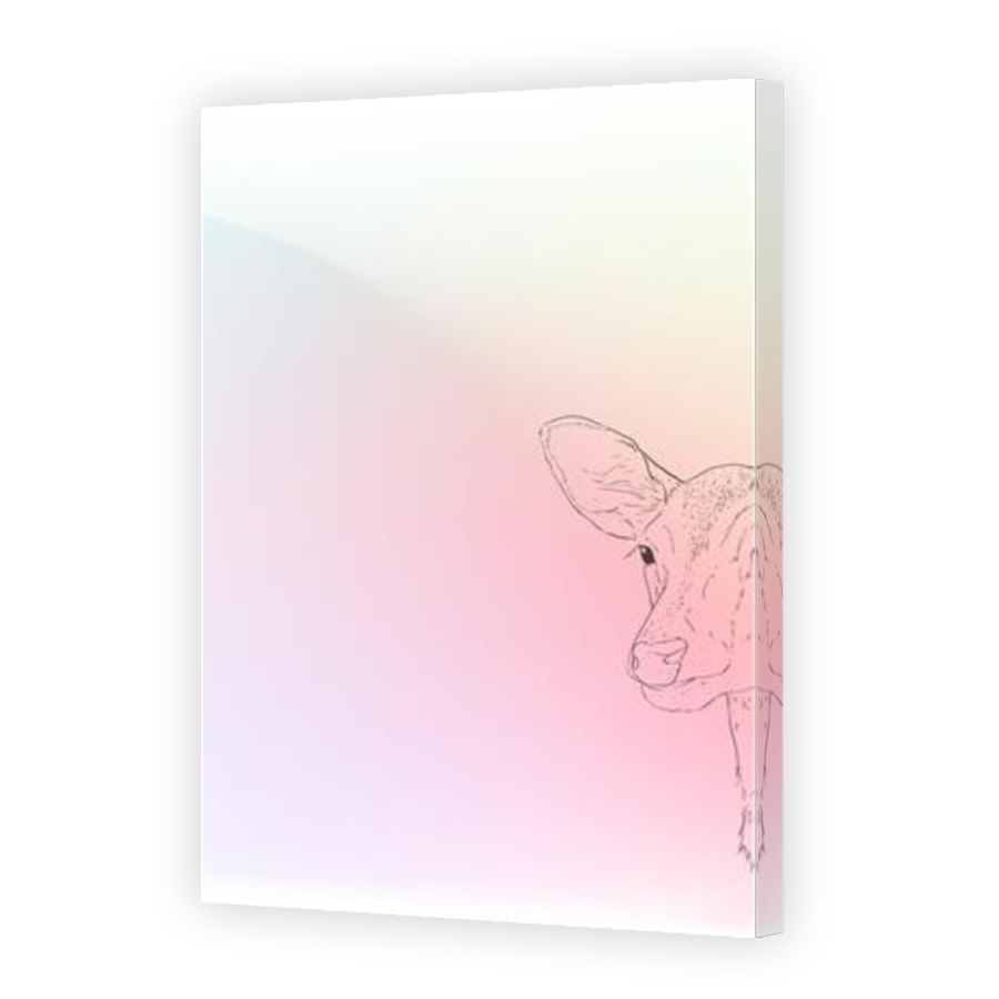 Thumbnail for Canvas - Mirror Image Canvas Wrap