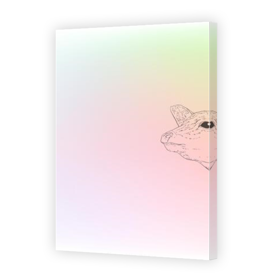 Thumbnail for Canvas - Mirror Image Canvas Wrap
