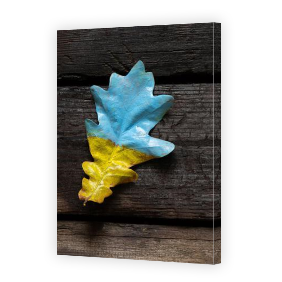 Thumbnail for Canvas - Mirror Image Canvas Wrap