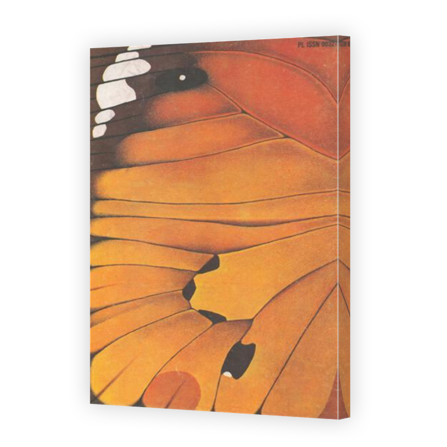 Thumbnail for Canvas - Mirror Image Canvas Wrap