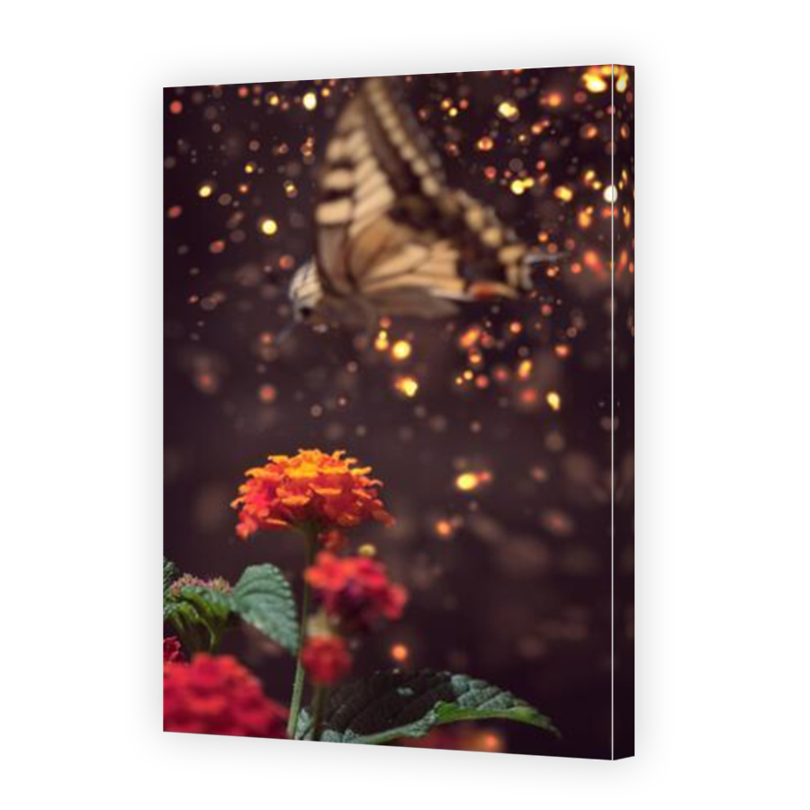 Thumbnail for Canvas - Mirror Image Canvas Wrap