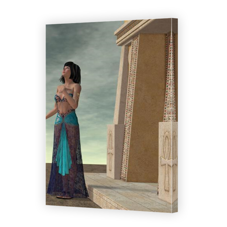 Thumbnail for Canvas - Mirror Image Canvas Wrap