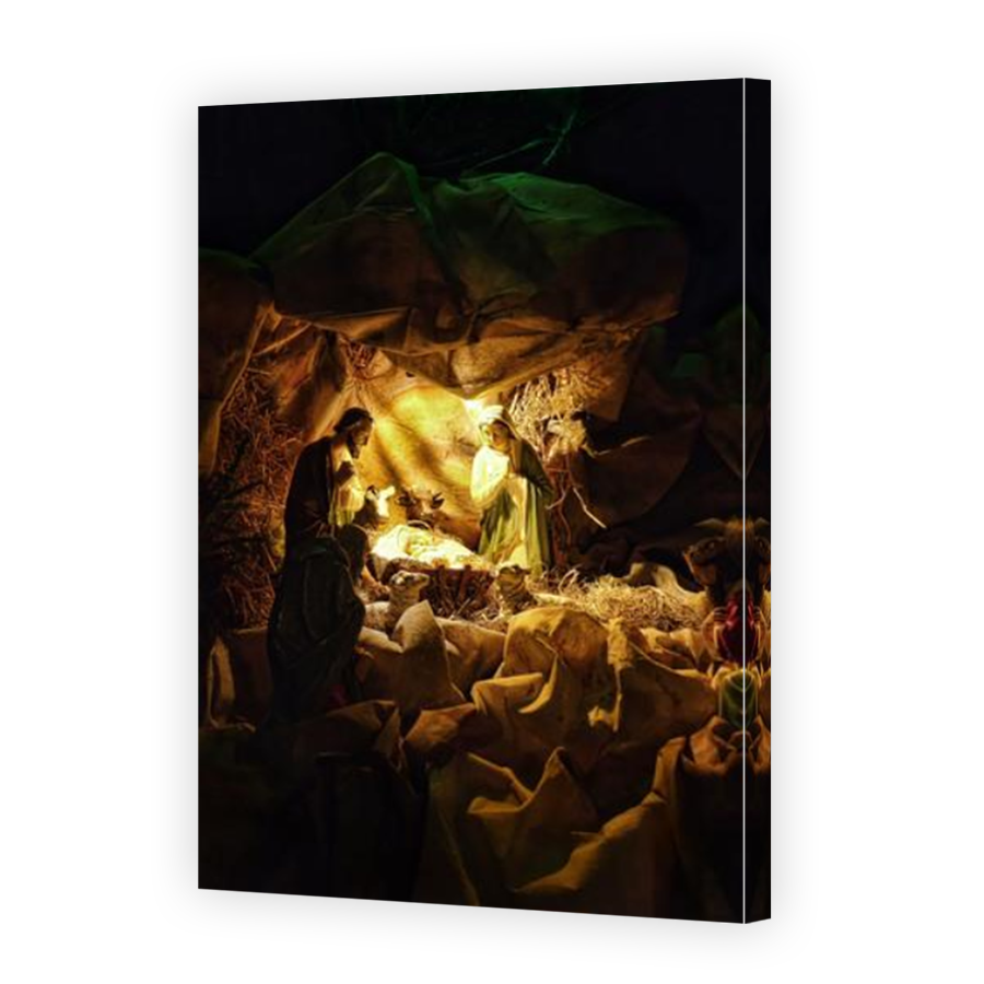 Thumbnail for Canvas - Mirror Image Canvas Wrap