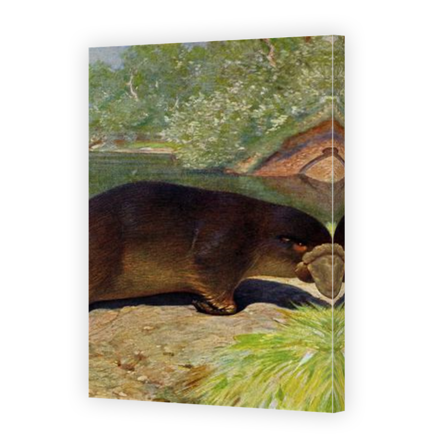 Thumbnail for Canvas - Mirror Image Canvas Wrap