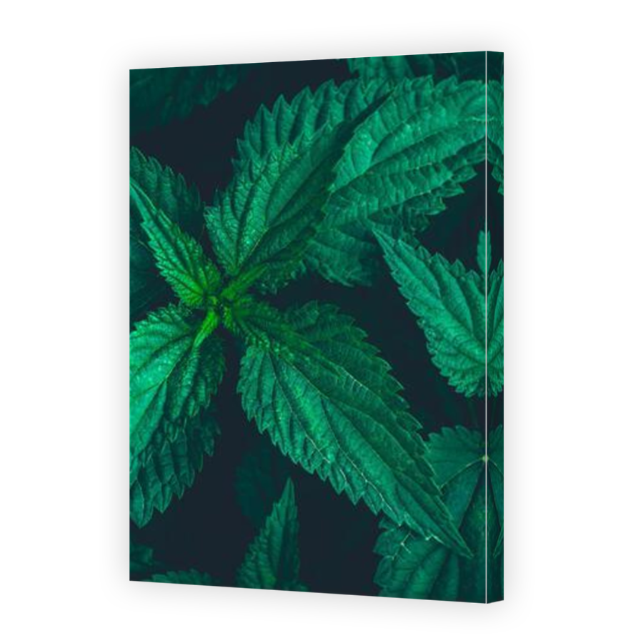 Thumbnail for Canvas - Mirror Image Canvas Wrap