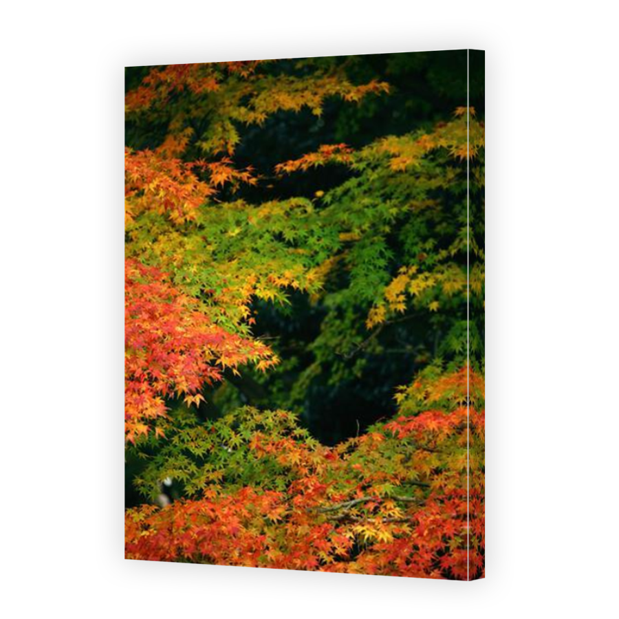 Thumbnail for Canvas - Mirror Image Canvas Wrap