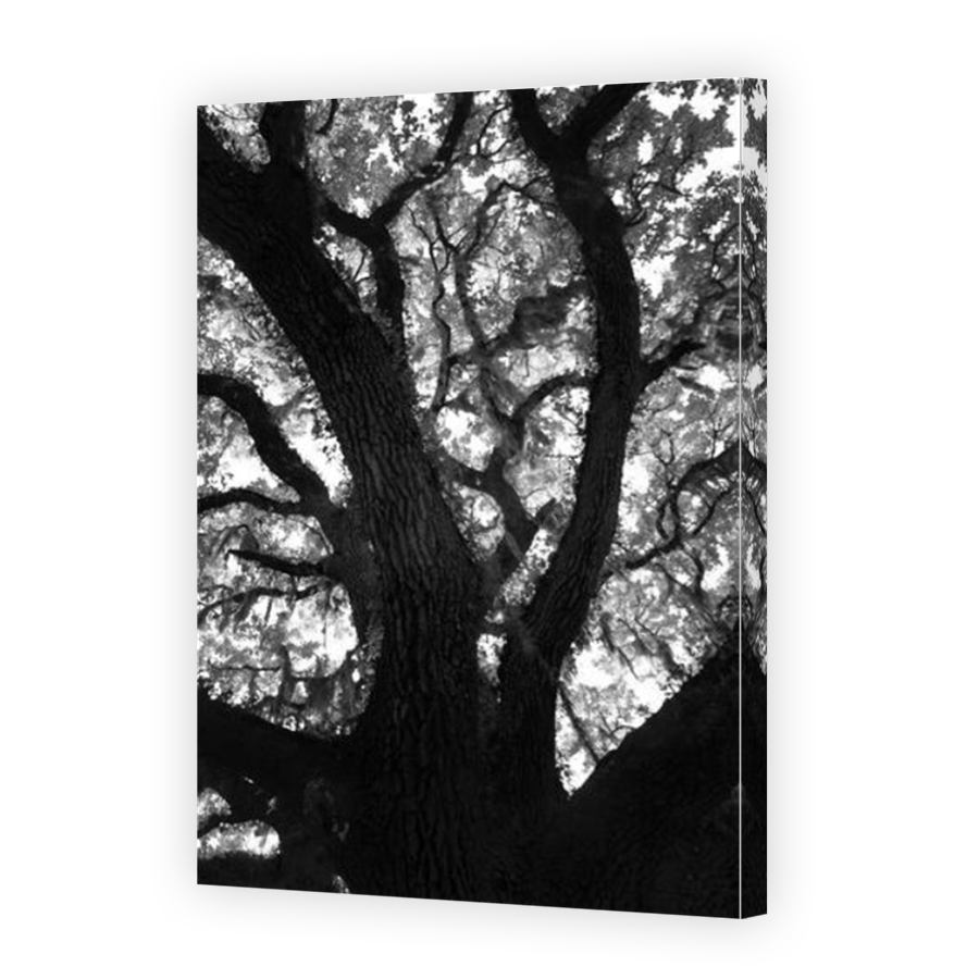 Thumbnail for Canvas - Mirror Image Canvas Wrap