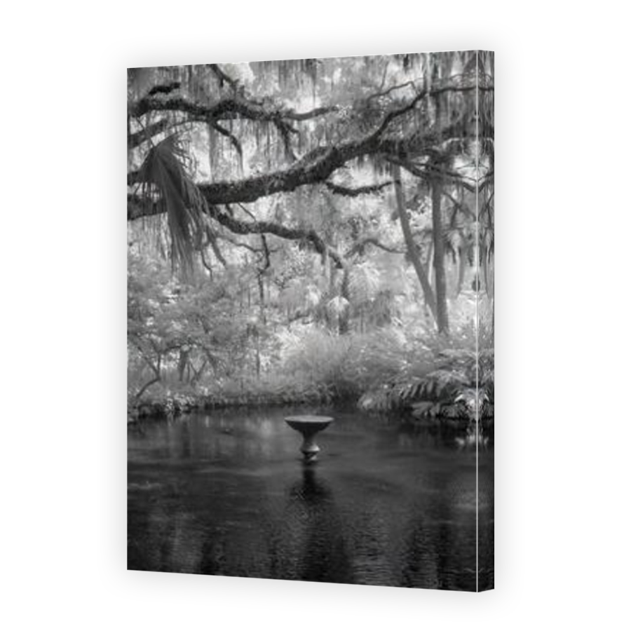 Thumbnail for Canvas - Mirror Image Canvas Wrap