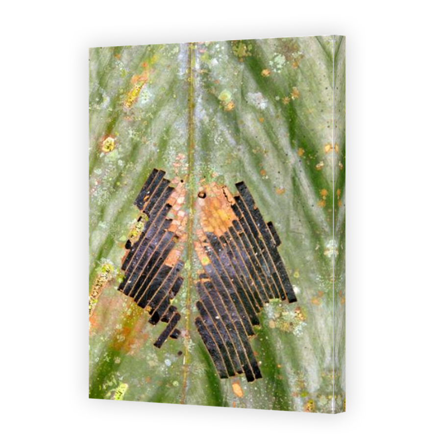 Thumbnail for Canvas - Mirror Image Canvas Wrap
