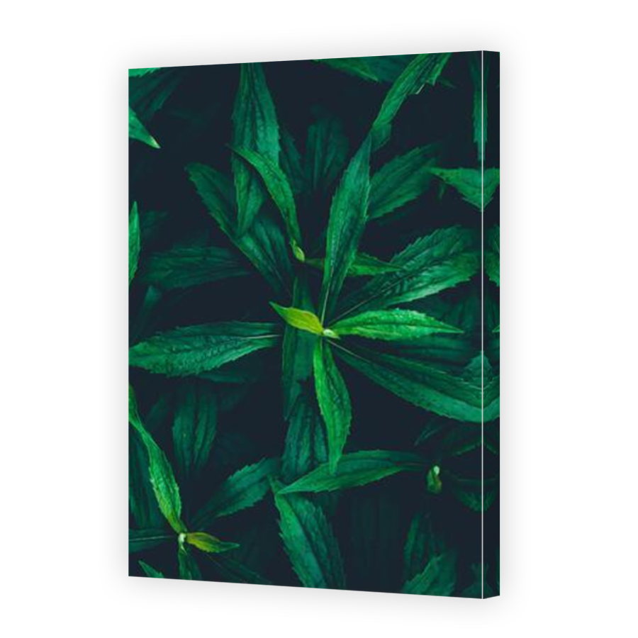 Thumbnail for Canvas - Mirror Image Canvas Wrap