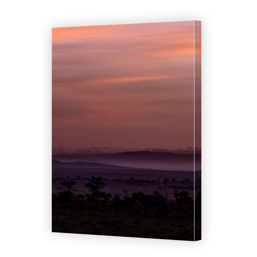 Thumbnail for Canvas - Mirror Image Canvas Wrap