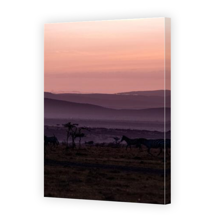 Thumbnail for Canvas - Mirror Image Canvas Wrap