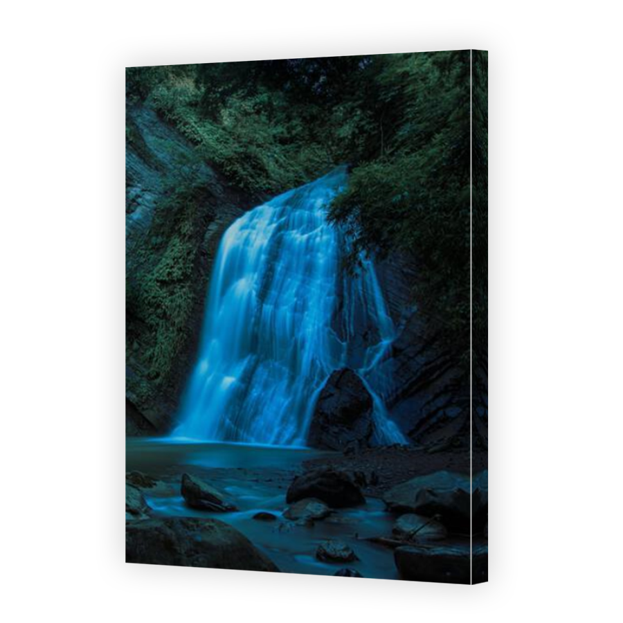 Thumbnail for Canvas - Mirror Image Canvas Wrap