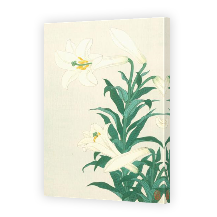 Thumbnail for Canvas - Mirror Image Canvas Wrap