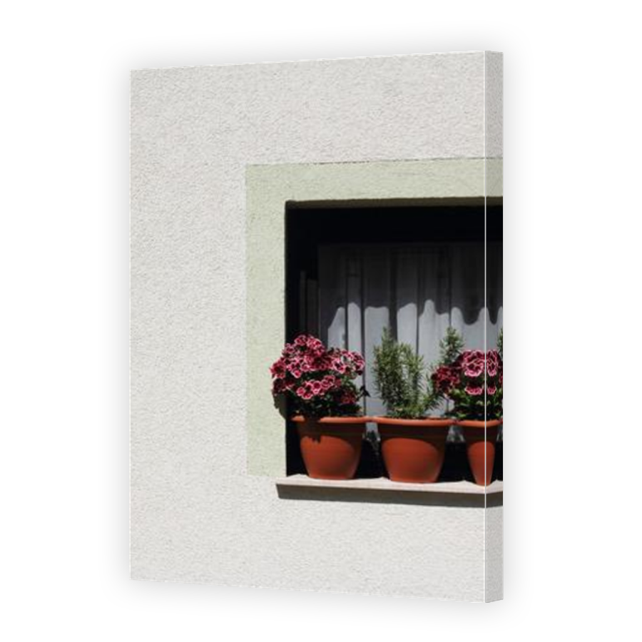 Thumbnail for Canvas - Mirror Image Canvas Wrap