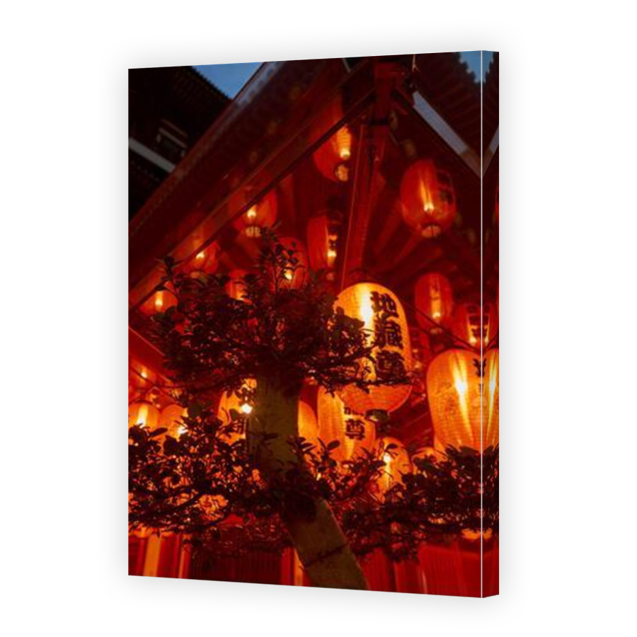 Thumbnail for Canvas - Mirror Image Canvas Wrap