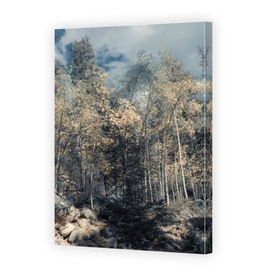 Thumbnail for Canvas - Mirror Image Canvas Wrap