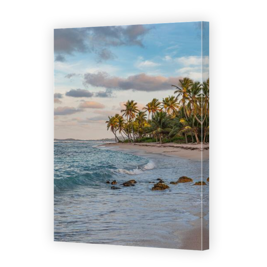Thumbnail for Canvas - Mirror Image Canvas Wrap