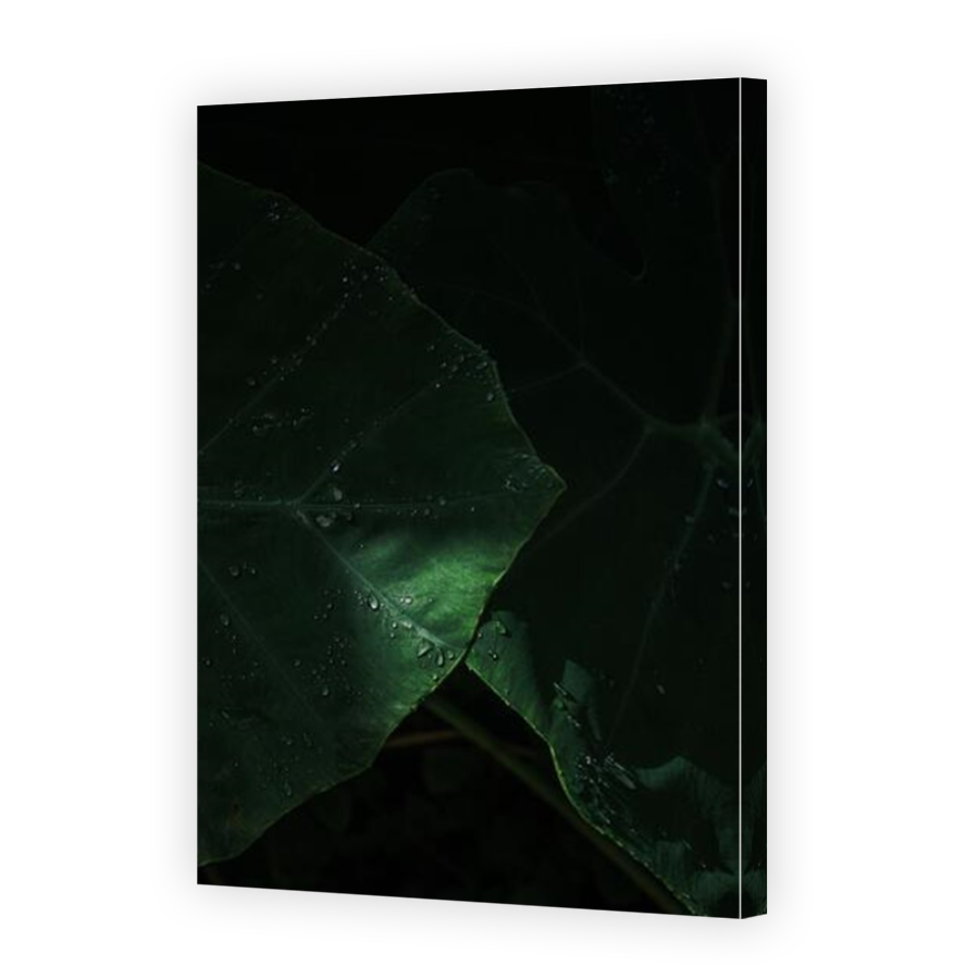 Thumbnail for Canvas - Mirror Image Canvas Wrap