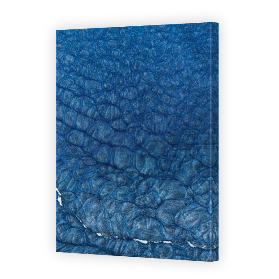 Thumbnail for Canvas - Mirror Image Canvas Wrap