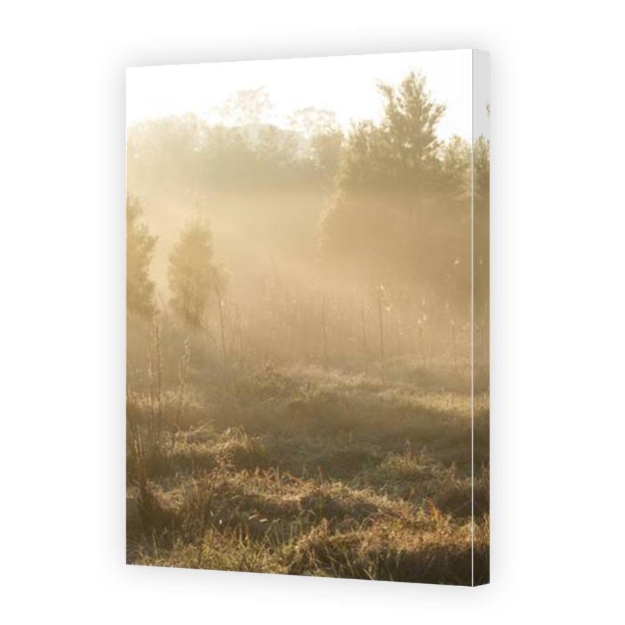 Thumbnail for Canvas - Mirror Image Canvas Wrap