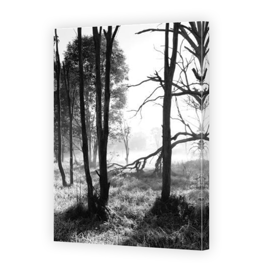 Thumbnail for Canvas - Mirror Image Canvas Wrap