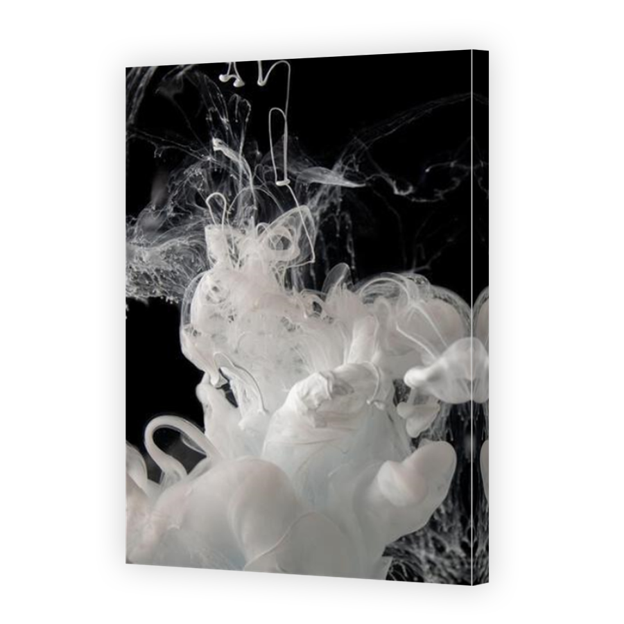Thumbnail for Canvas - Mirror Image Canvas Wrap