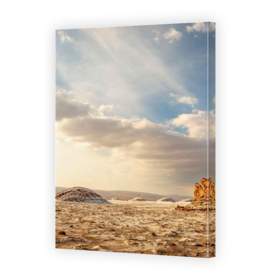 Thumbnail for Canvas - Mirror Image Canvas Wrap