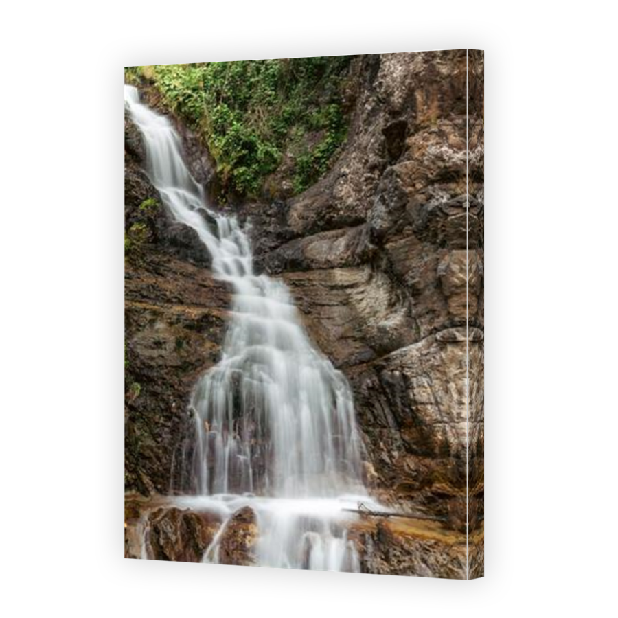 Thumbnail for Canvas - Mirror Image Canvas Wrap