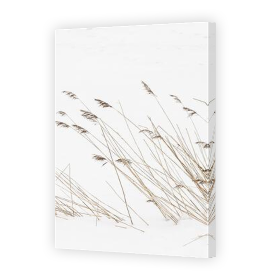 Thumbnail for Canvas - Mirror Image Canvas Wrap