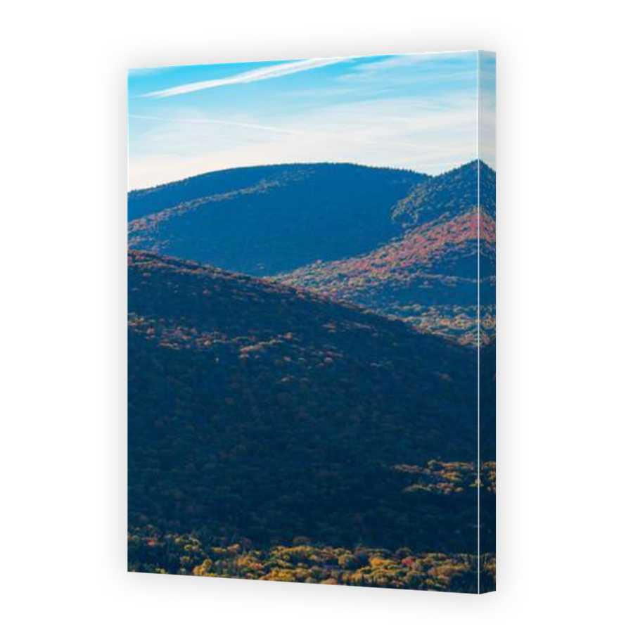 Thumbnail for Canvas - Mirror Image Canvas Wrap