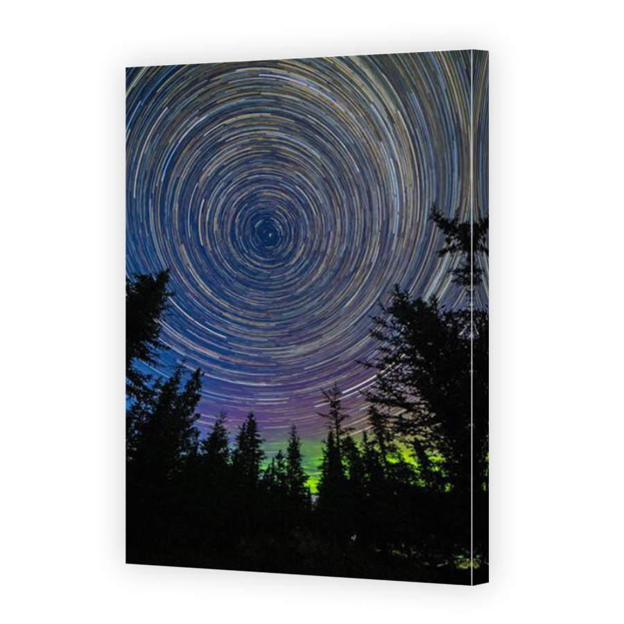 Thumbnail for Canvas - Mirror Image Canvas Wrap