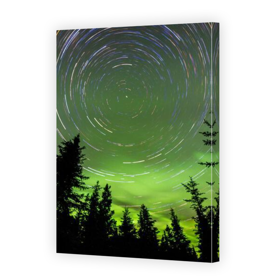 Thumbnail for Canvas - Mirror Image Canvas Wrap