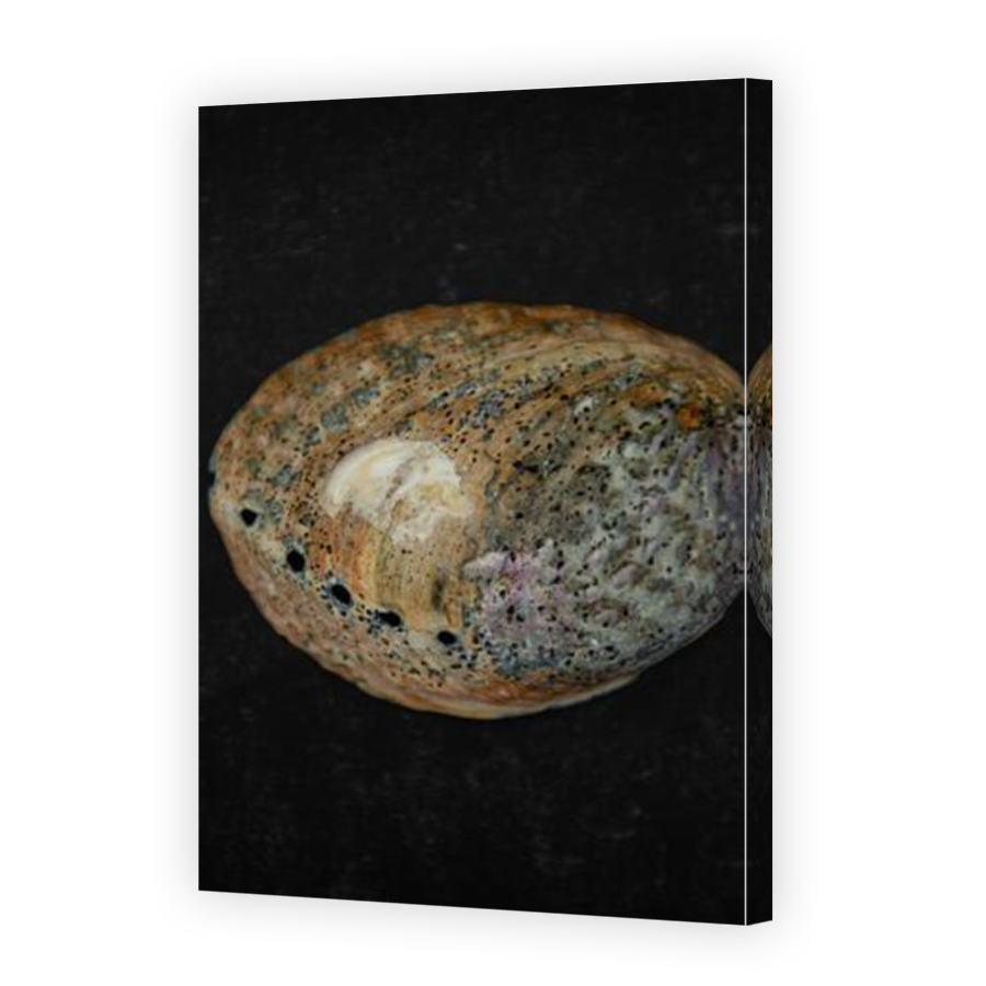 Thumbnail for Canvas - Mirror Image Canvas Wrap