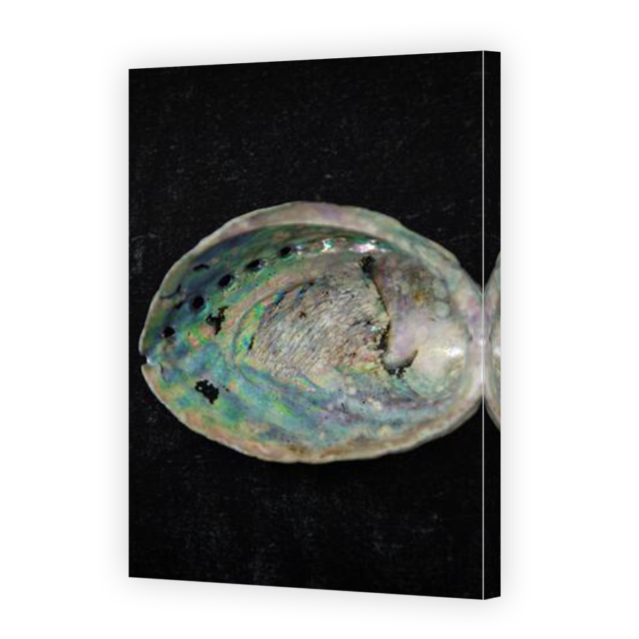 Thumbnail for Canvas - Mirror Image Canvas Wrap