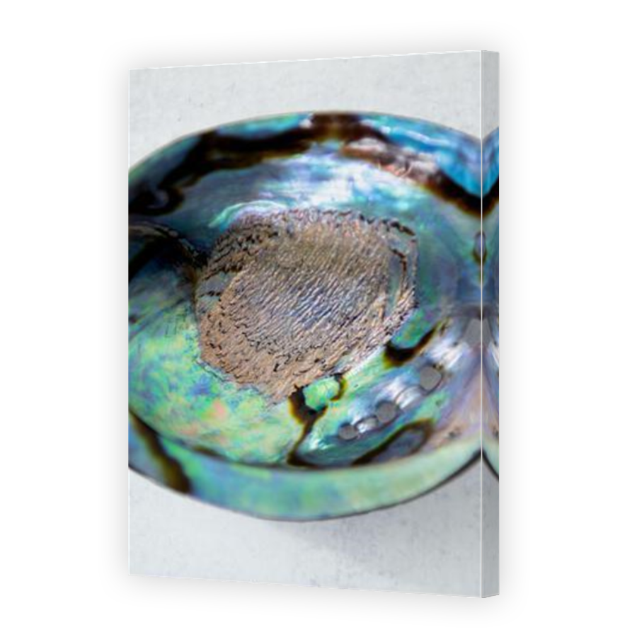 Thumbnail for Canvas - Mirror Image Canvas Wrap