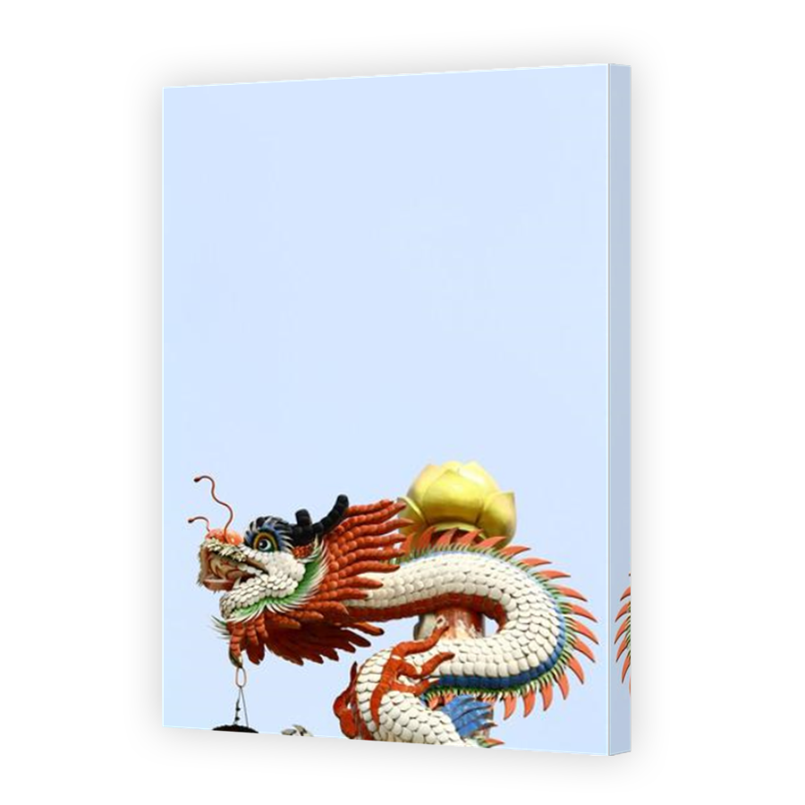 Thumbnail for Canvas - Mirror Image Canvas Wrap