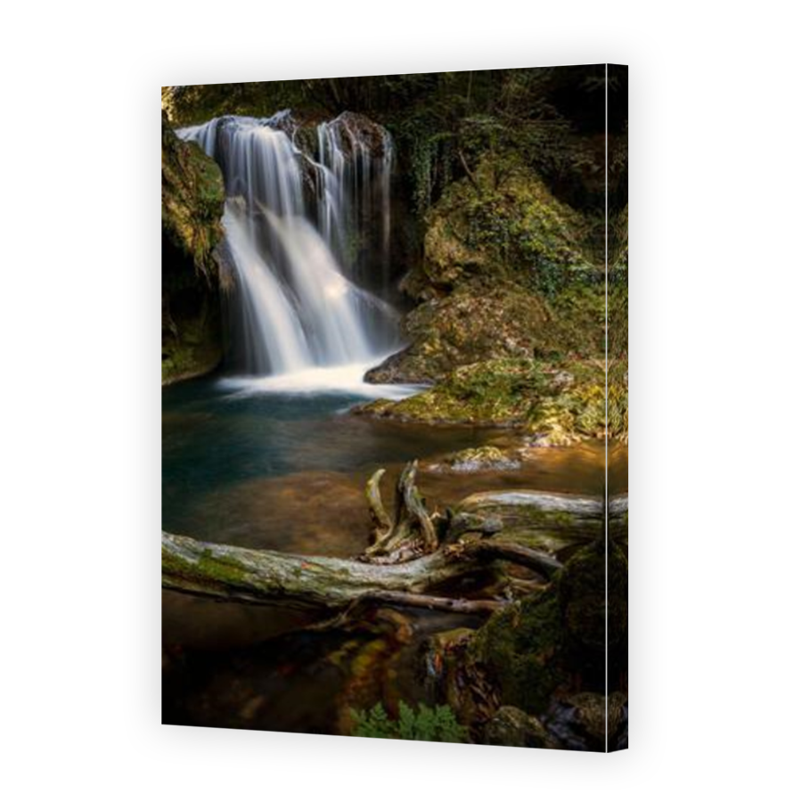 Thumbnail for Canvas - Mirror Image Canvas Wrap