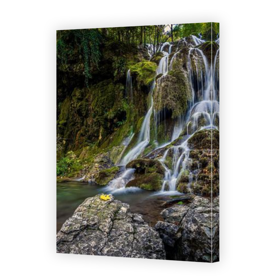 Thumbnail for Canvas - Mirror Image Canvas Wrap