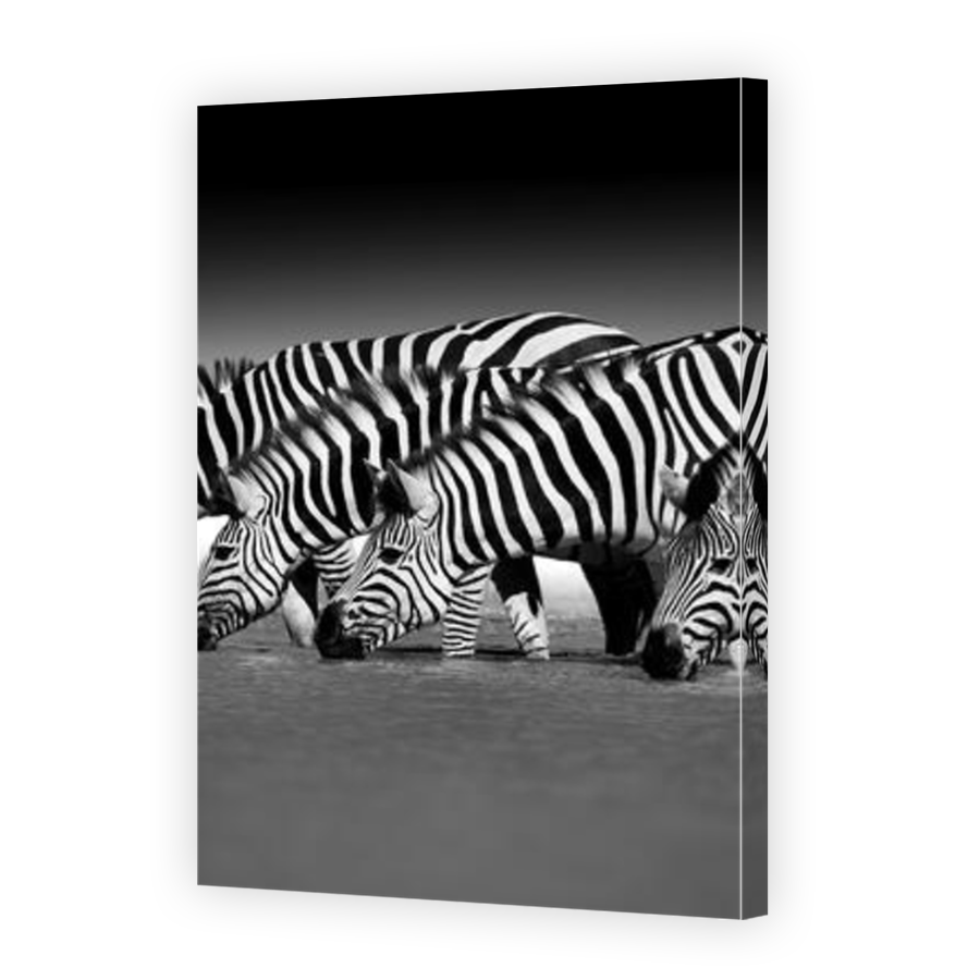 Thumbnail for Canvas - Mirror Image Canvas Wrap