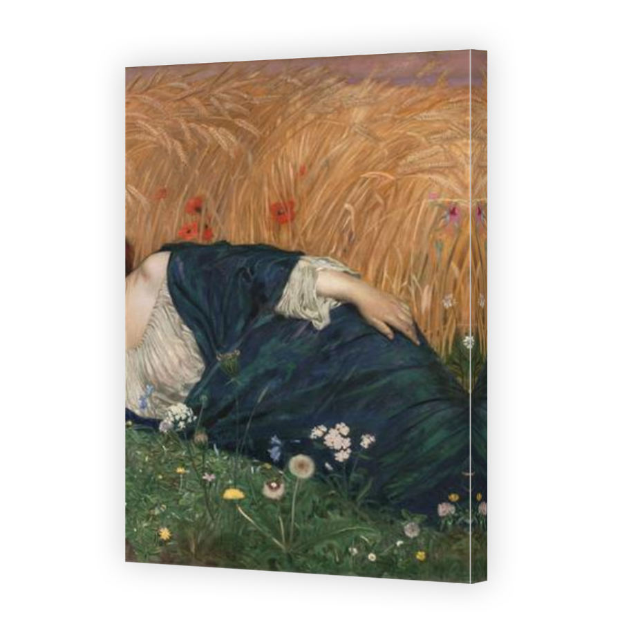 Thumbnail for Canvas - Mirror Image Canvas Wrap