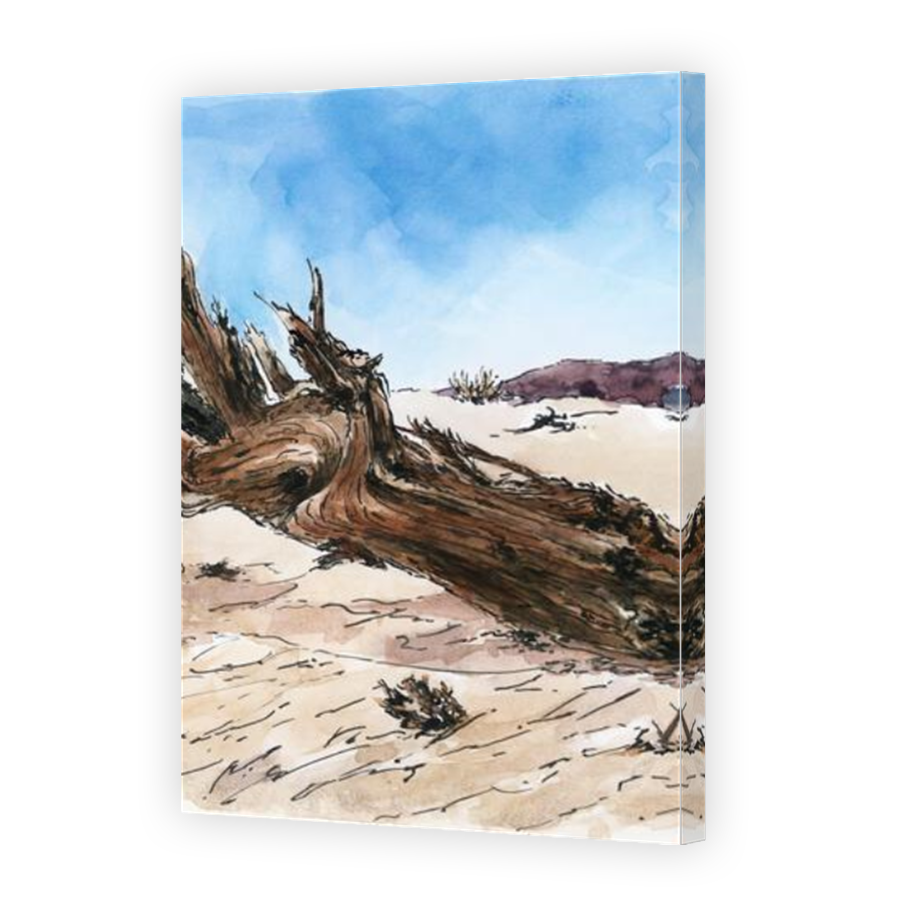 Thumbnail for Canvas - Mirror Image Canvas Wrap