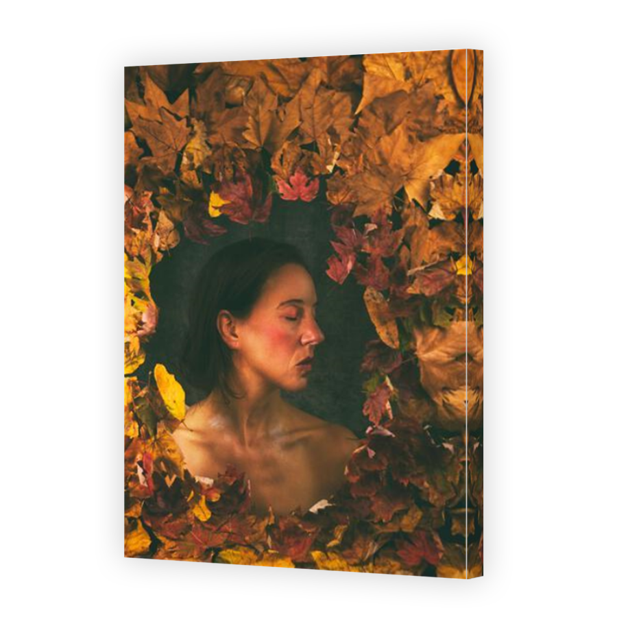 Thumbnail for Canvas - Mirror Image Canvas Wrap