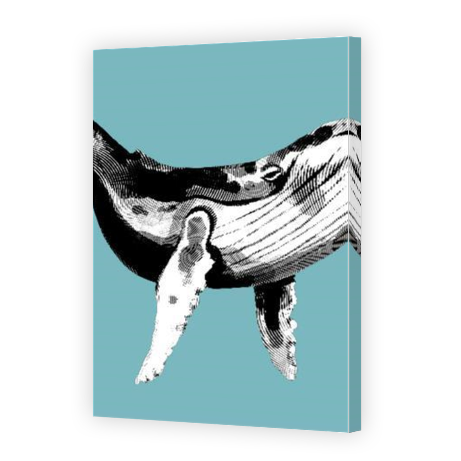 Thumbnail for Canvas - Mirror Image Canvas Wrap
