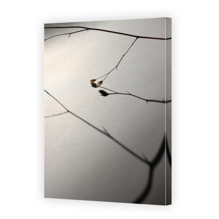 Thumbnail for Canvas - Mirror Image Canvas Wrap