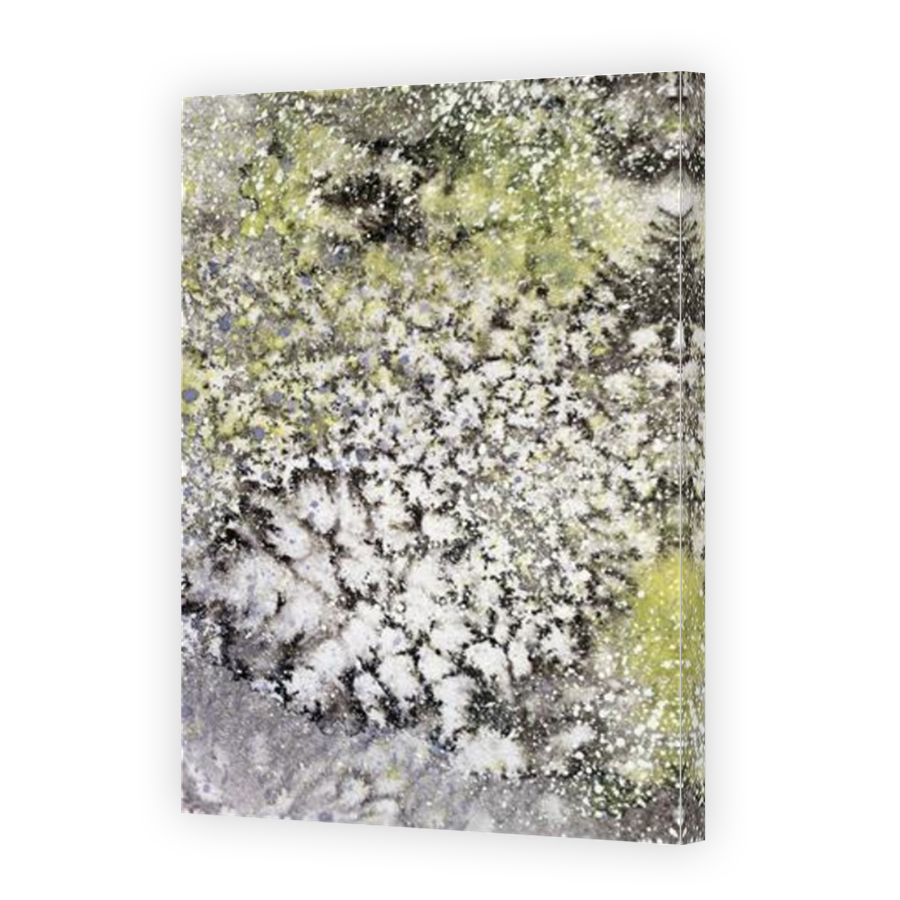 Thumbnail for Canvas - Mirror Image Canvas Wrap
