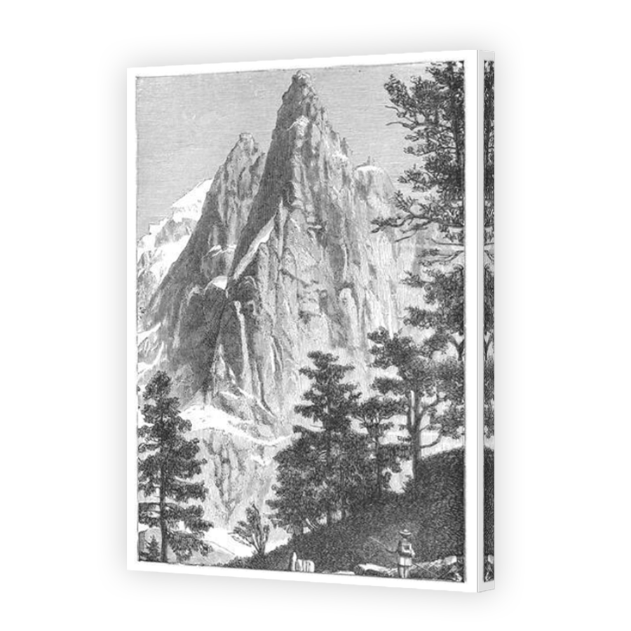 Thumbnail for Canvas - Mirror Image Canvas Wrap