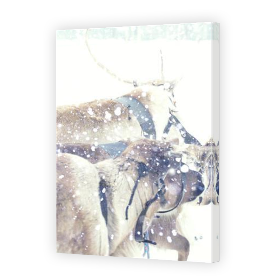 Thumbnail for Canvas - Mirror Image Canvas Wrap