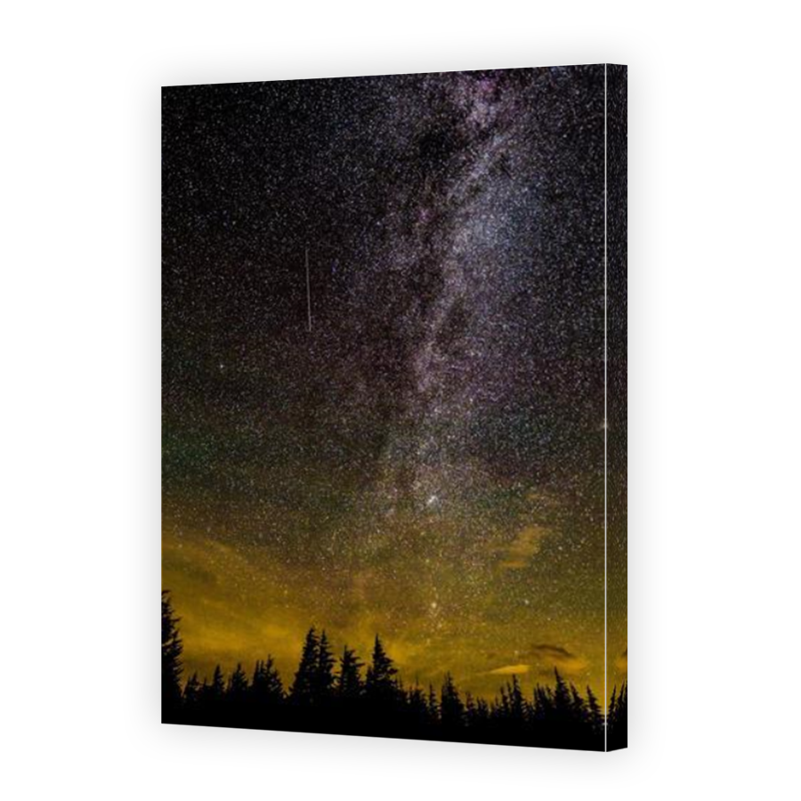 Thumbnail for Canvas - Mirror Image Canvas Wrap
